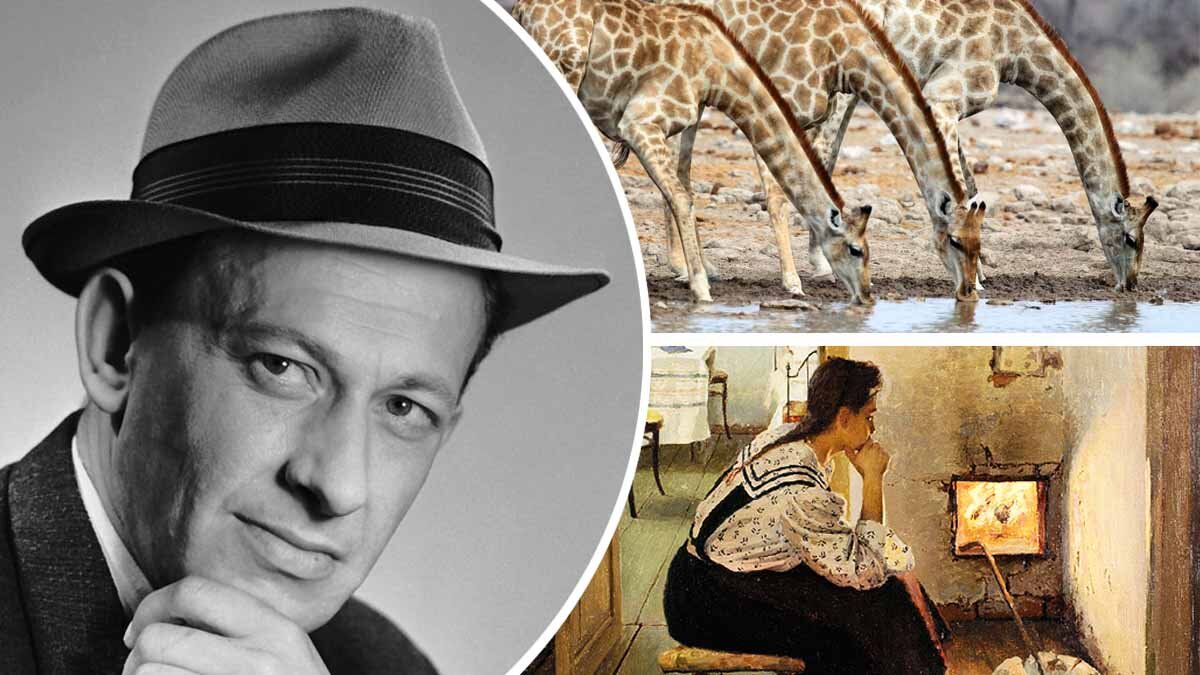 Иллюстрации созданы автором, источники изображений — pixabay.com, commons.wikimedia.org