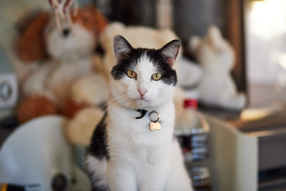 На фото: Сёмочка