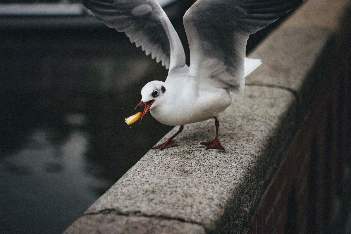 Фото: Anna Poskakukhina / unsplash.com