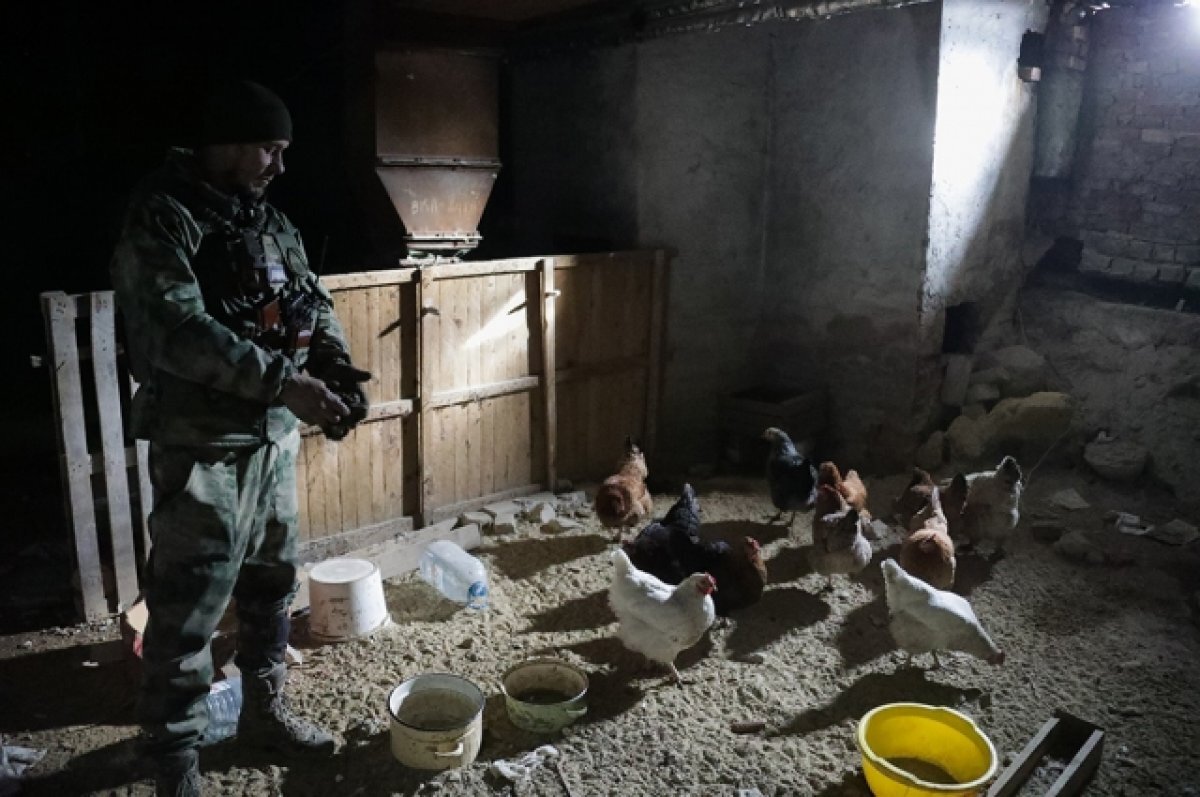    Российский военный объяснил, почему НАТО не сможет победить Россию