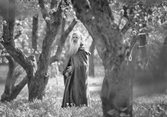 Скрин фото из открытых источников.