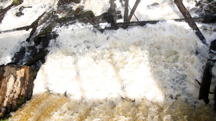 ФОТО: MAKSIM KONSTANTINOV/GLOBALLOOKPRESS