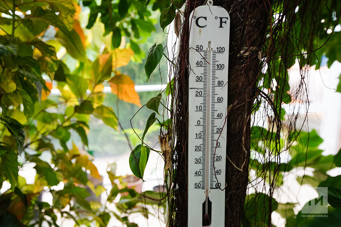 На 2 градуса теплее. Потеплеет до +17 градусов сентябрь. Температурный рекорд. Аномальная жара в Узбекистане +70 термометры на зданиях. Жара Татарская.