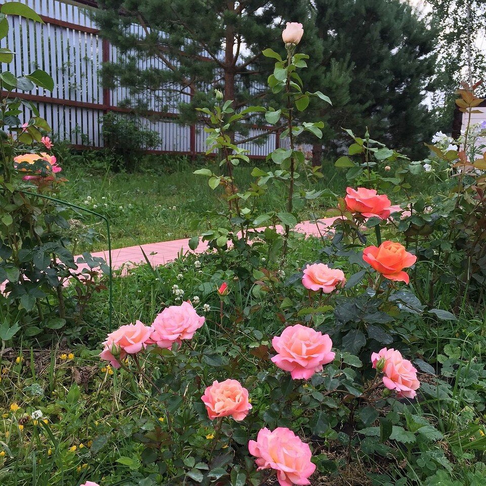    Соцсети блогера sunshine__2000