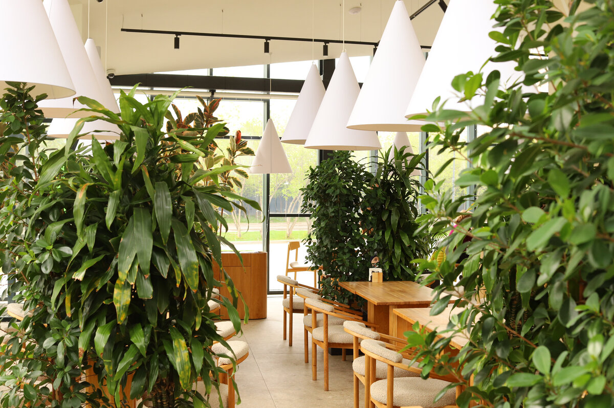 Настоящий зимний сад, райское место для всех любителей релакса и экологии! На контрасте с хай-тек-интерьерами экспозиции оно выглядит уютным и близким к природе.