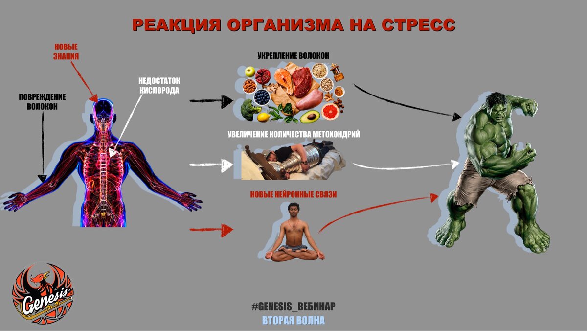 Чтобы стать чемпионом, нужно не только много тренироваться, но и качественно восстанавливаться