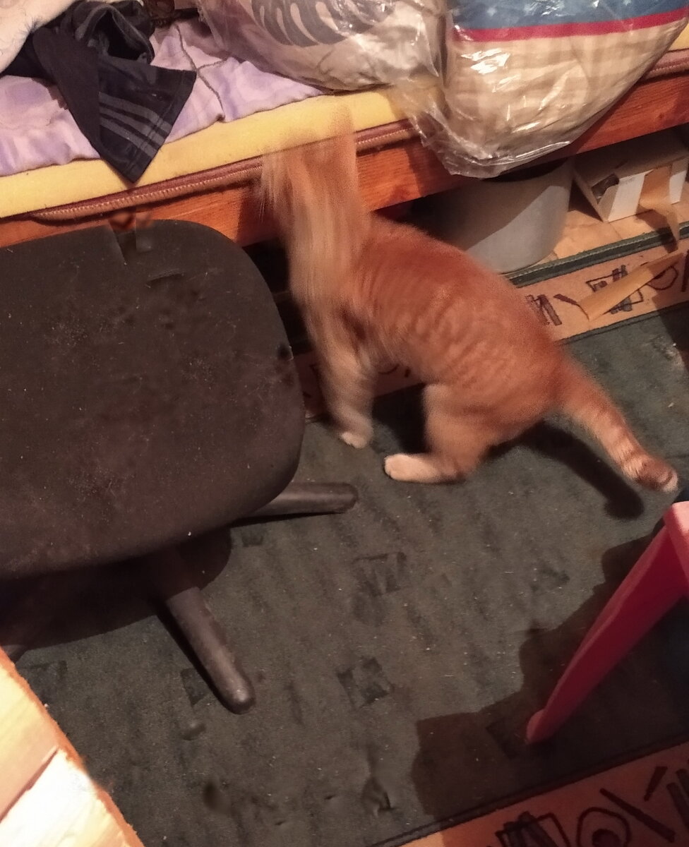 Личное фото.