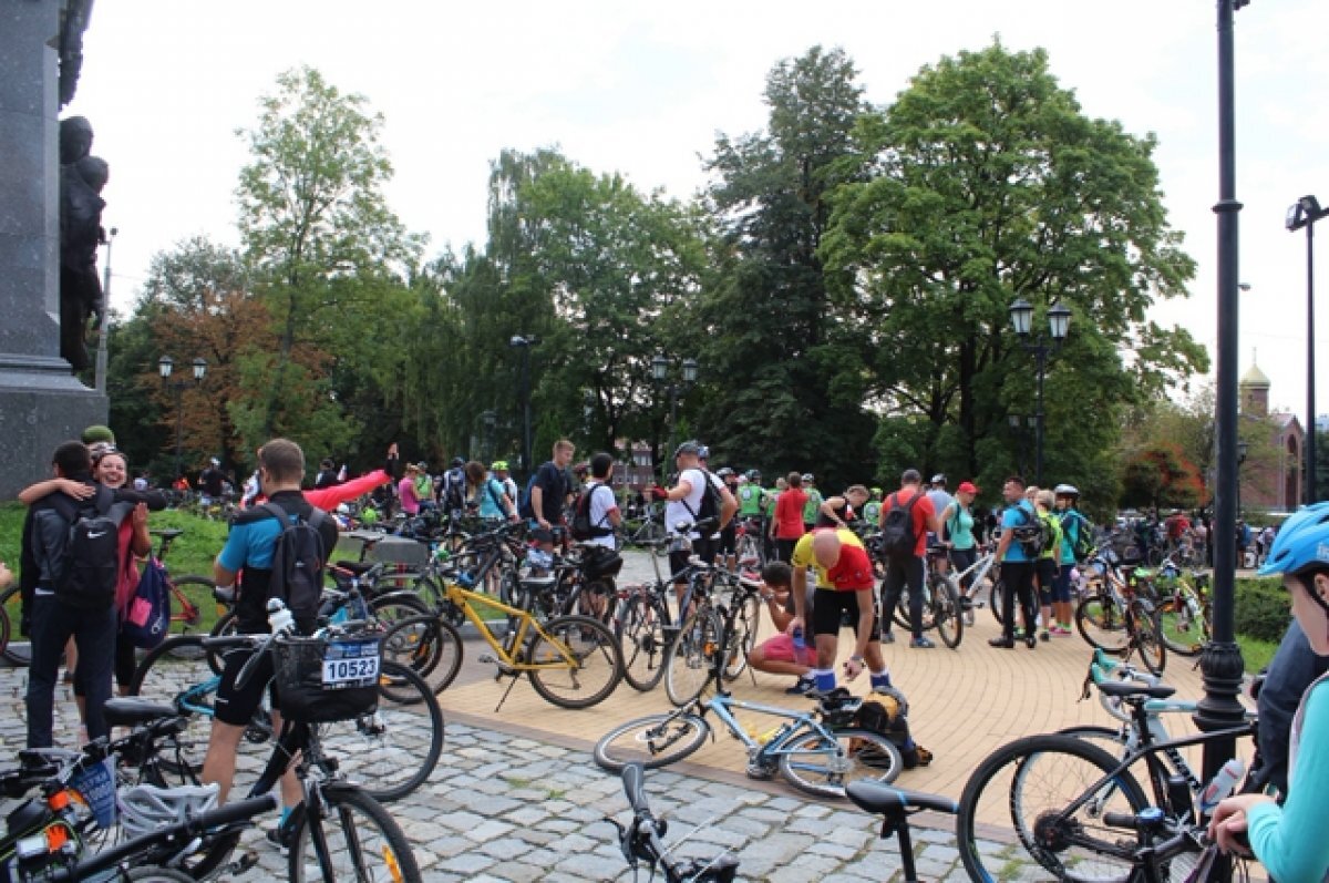    В Волжском назвали пешеходные зоны и территории трезвости 12 июня