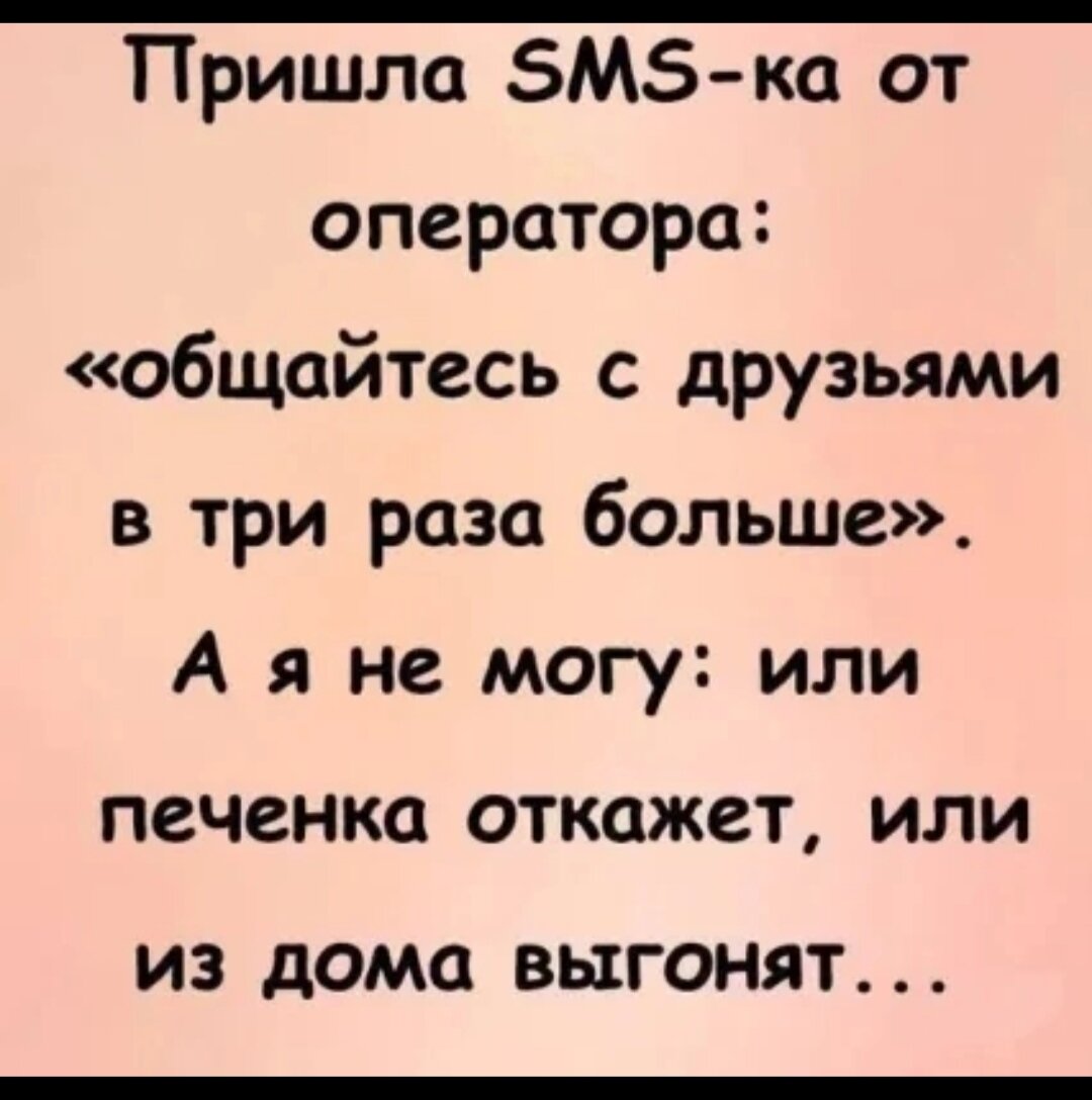 Будни простого ,,торгаша,,😁... | Лариса Васильева@,,Lissa,, , истории из  жизни ИПэшника . | Дзен