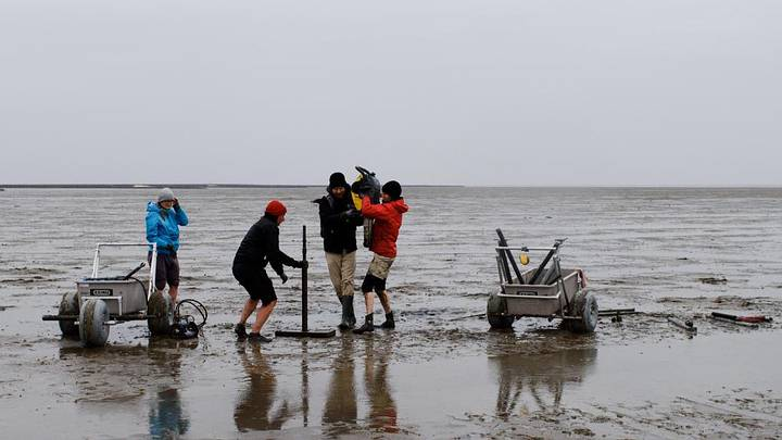 Ученые исследуют керны отложений для регистрации остатков поселений и реконструкции эволюции ландшафта на отдельных участках приливных равнин. Предоставлено: Юстус Лемм.