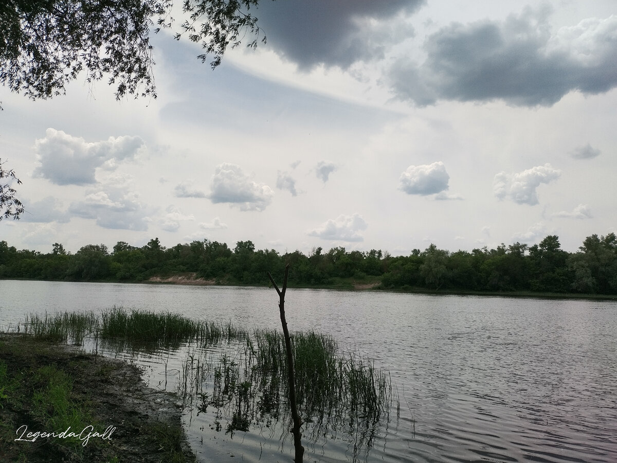 Ветер западный, как раз в лицо. И хорошо, мошку хоть немного сдул.