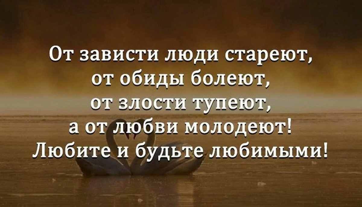 Представьте, что большинство в популяции злые люди. / anon