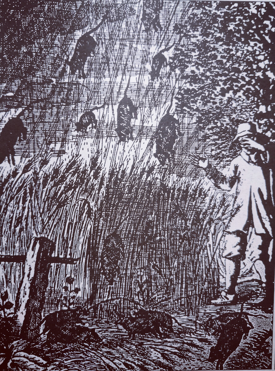 "Дождь из грызунов" выпавший 1680 году в Норвегии. Чарлз Форт выдвинул гипотезу о том, что окружающая нас природа первоначально создавалась за счет доставляемых откуда - то по воздуху "жизненных ресурсов " и что этот процесс продолжается по сей день.