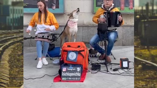 Туристы в воронеже