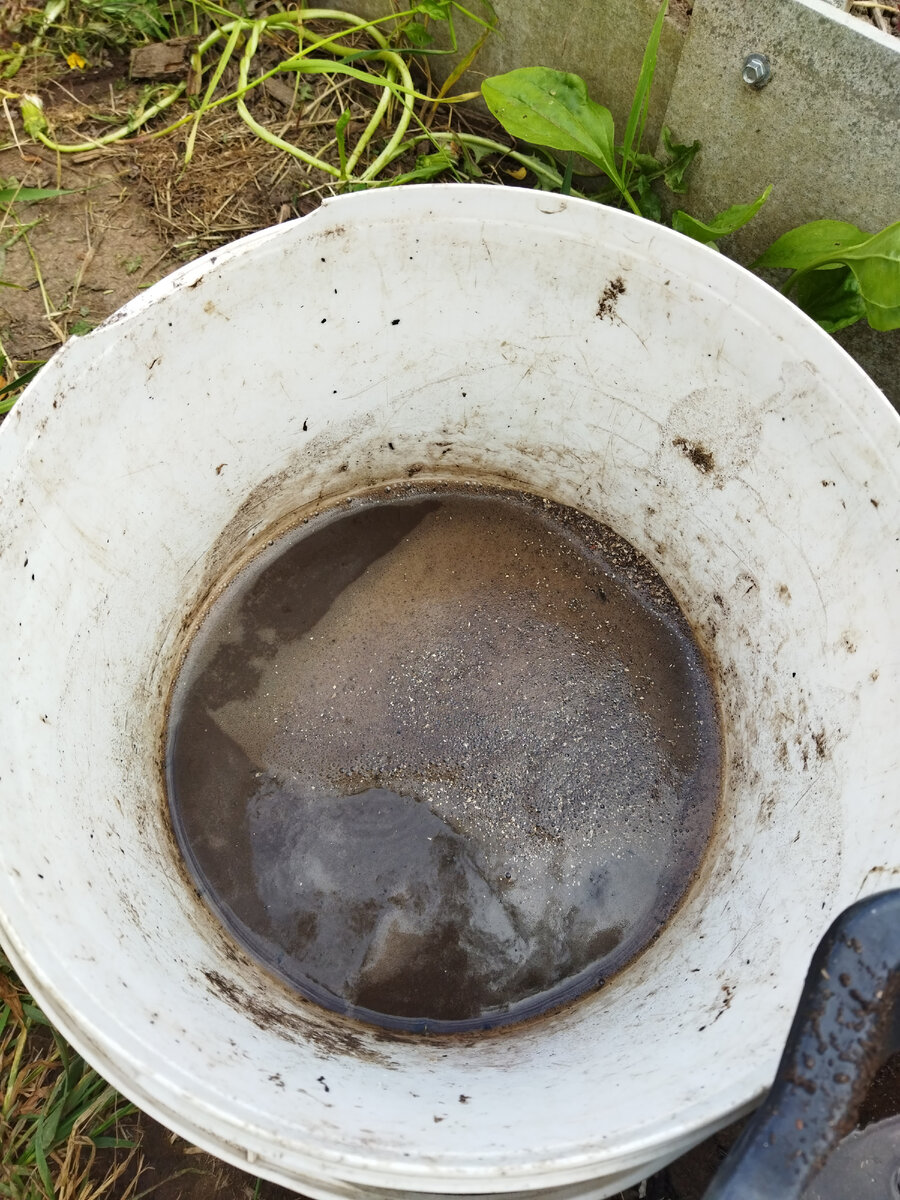 Только что влила стакан уксуса, Долила водой и полила помидоры