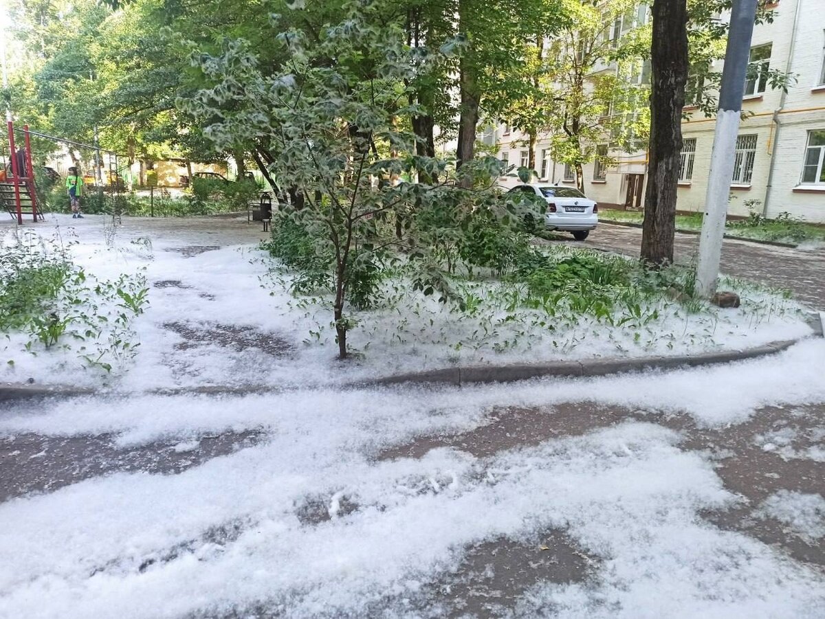 Ни в одном городе России (а я их посетил больше сотни) я не встречал столько аллергиков, как в Москве. Да, это моя честная статистика и не больше. Но!