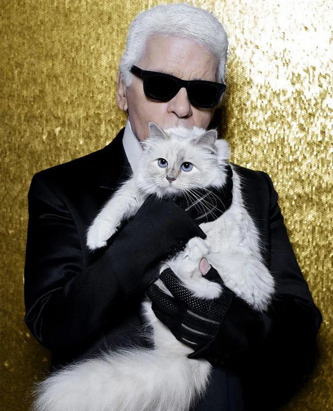 Карла Лагерфельд c его кошкой @choupettesdiary