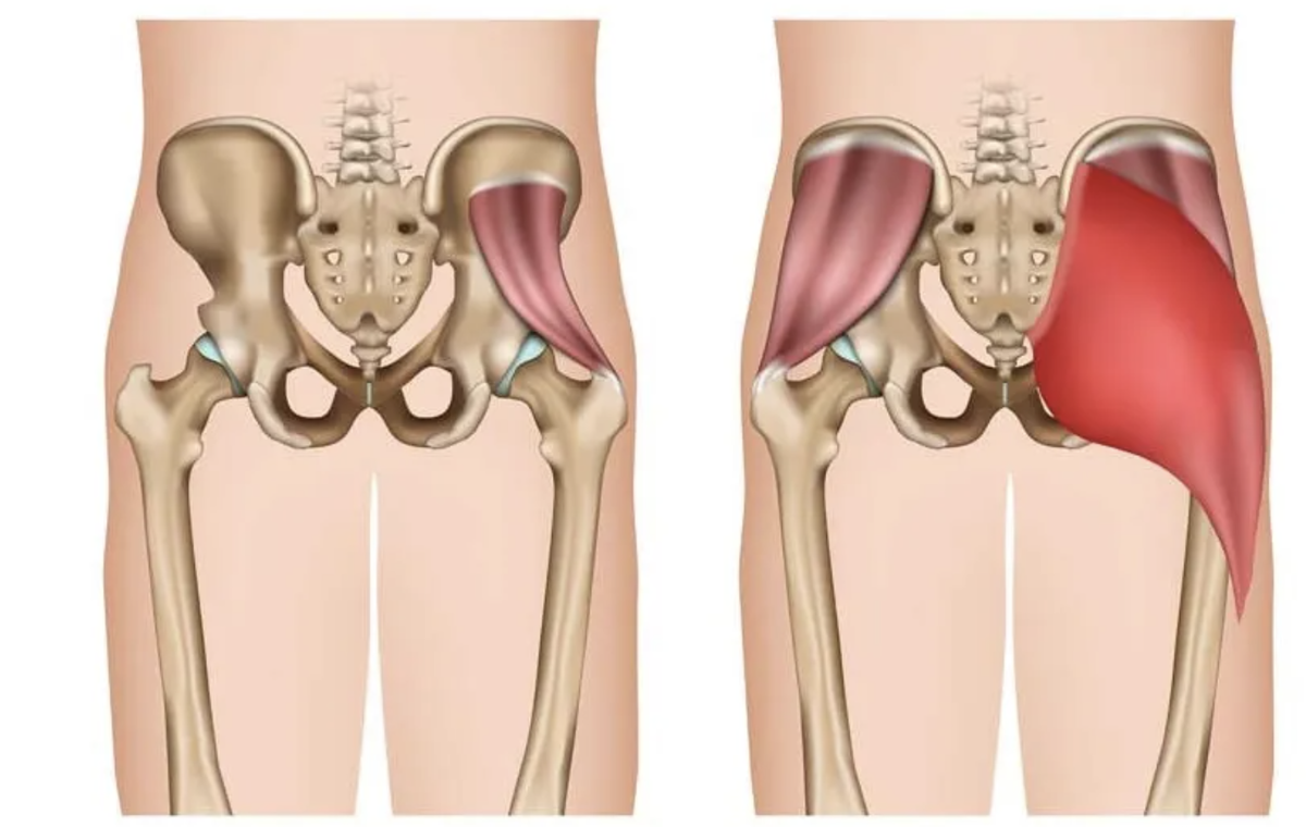 Строим сильный фундамент: 10 лучших упражнений для ягодичных мышц ...