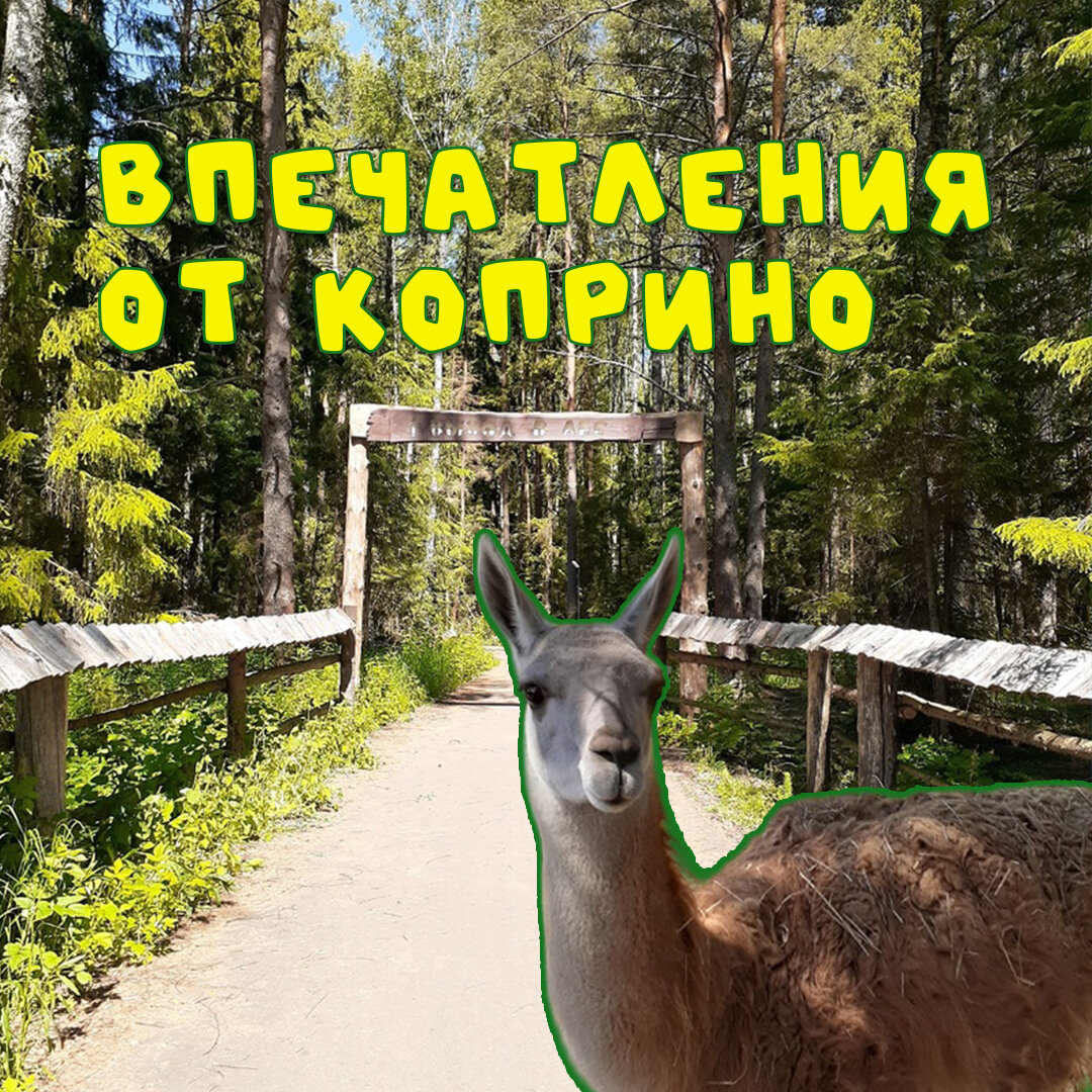 Коллаж автора