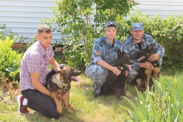    Из Омска в Оренбургскую колонию передали восемь щенков немецкой овчарки Андрей Севостьянов