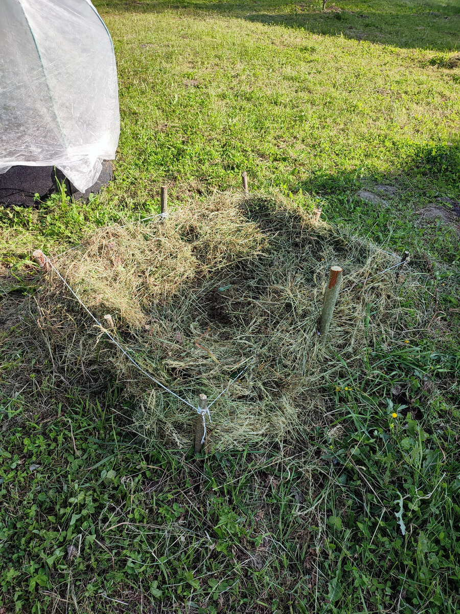 Колышки не забиты до конца - просто сил уже не хватило. Потом они будут все одной высоты и появятся поперечины. Будет аккуратнее. Но кабачок уже вылез!