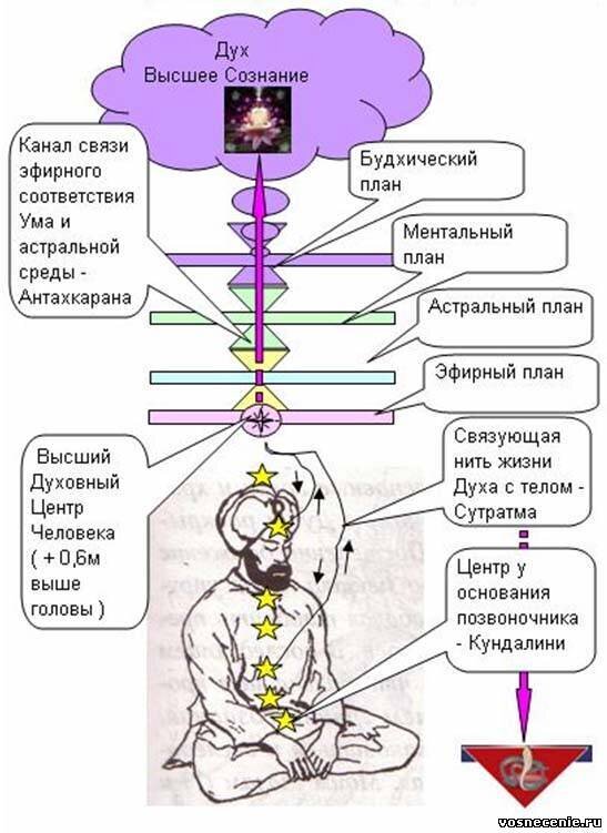 Текст уровень сознания. Чакры и уровни сознания. Чакры сознание. Эфирный план. Уровни сознания по чакрам.