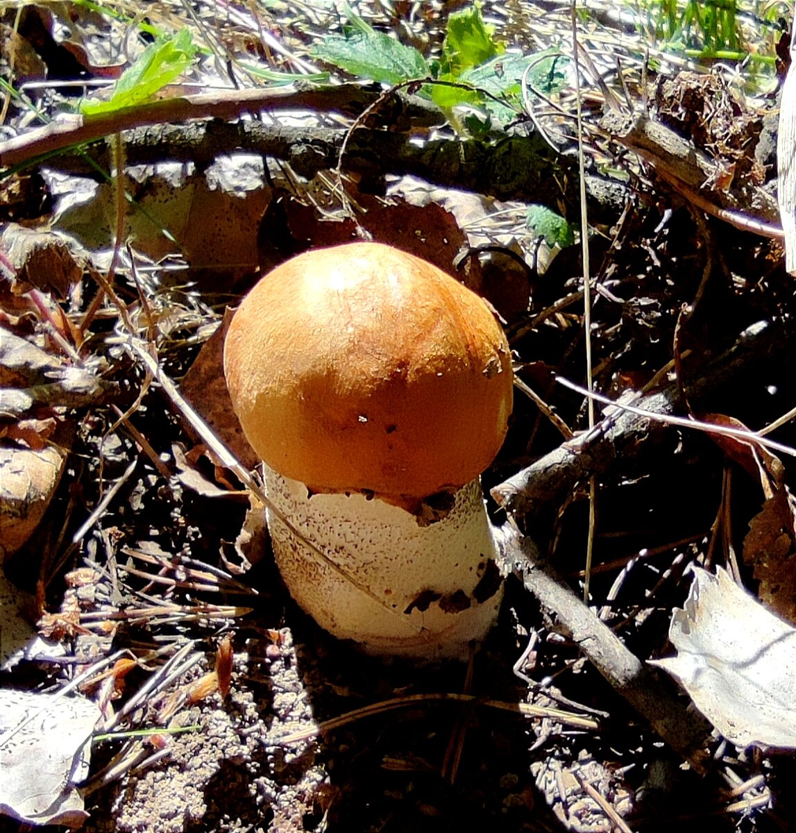 Фото из личного архива