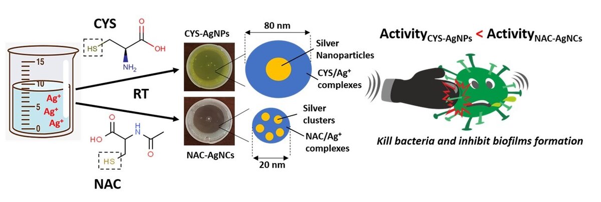 Схема синтеза гелей и их микроструктура. Источник: Vishnevetskii et al. / Journal of Materials Chemistry B, 2023.