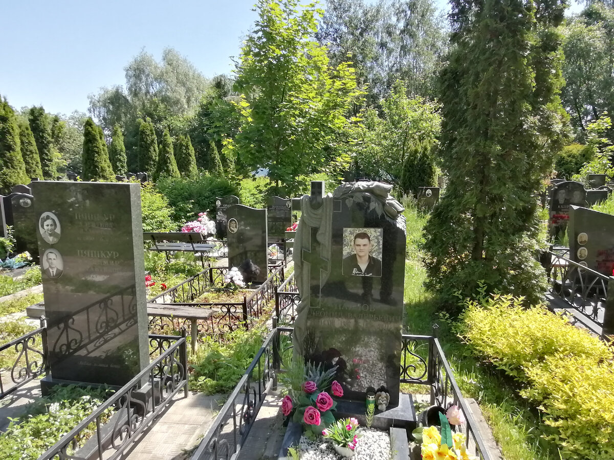 Кладбища 16. Кладбище. Новодевичье кладбище. Кладбище в Москве в лесу. Кладбище сво в Москве