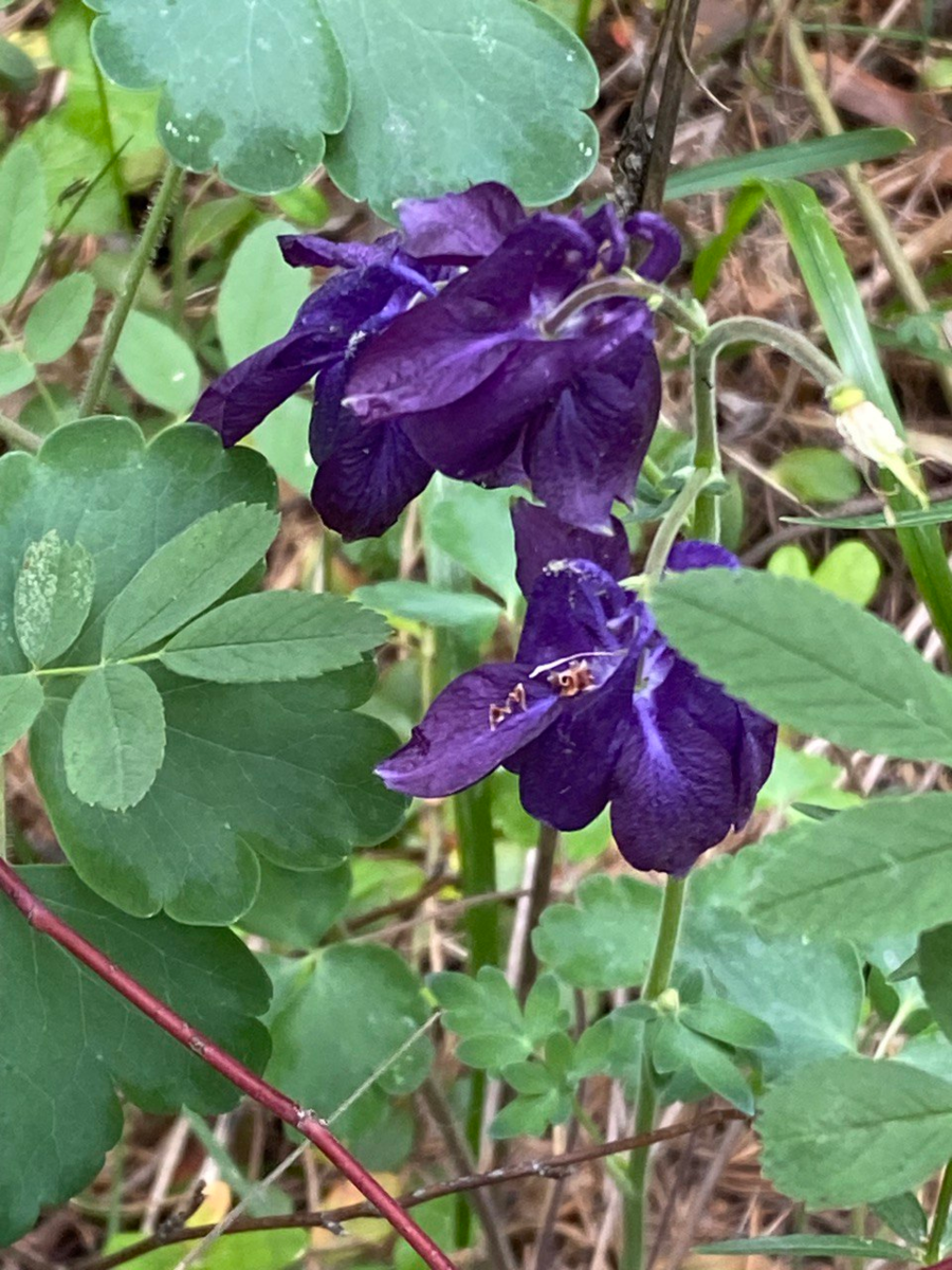 личное