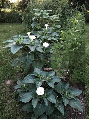 Фото Barbara Woike 