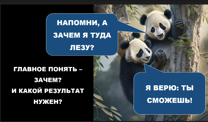 Все авторы каналов на Дзен