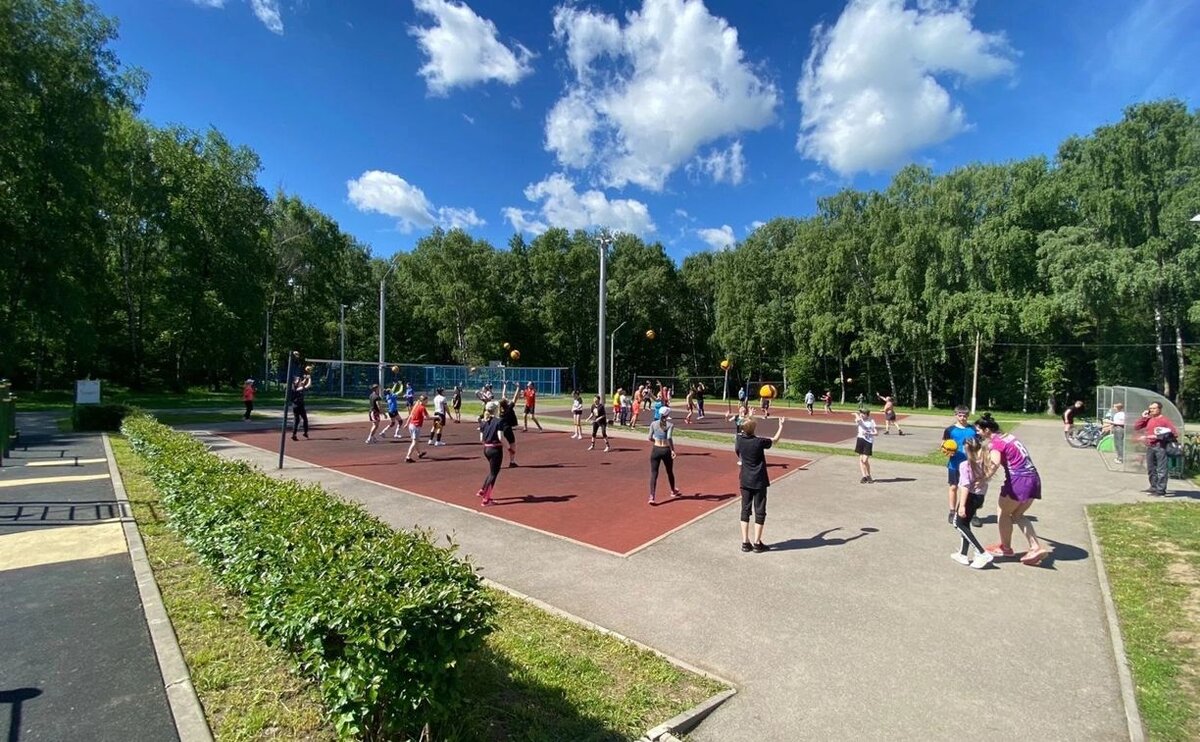 Спортивные площадки в Туле