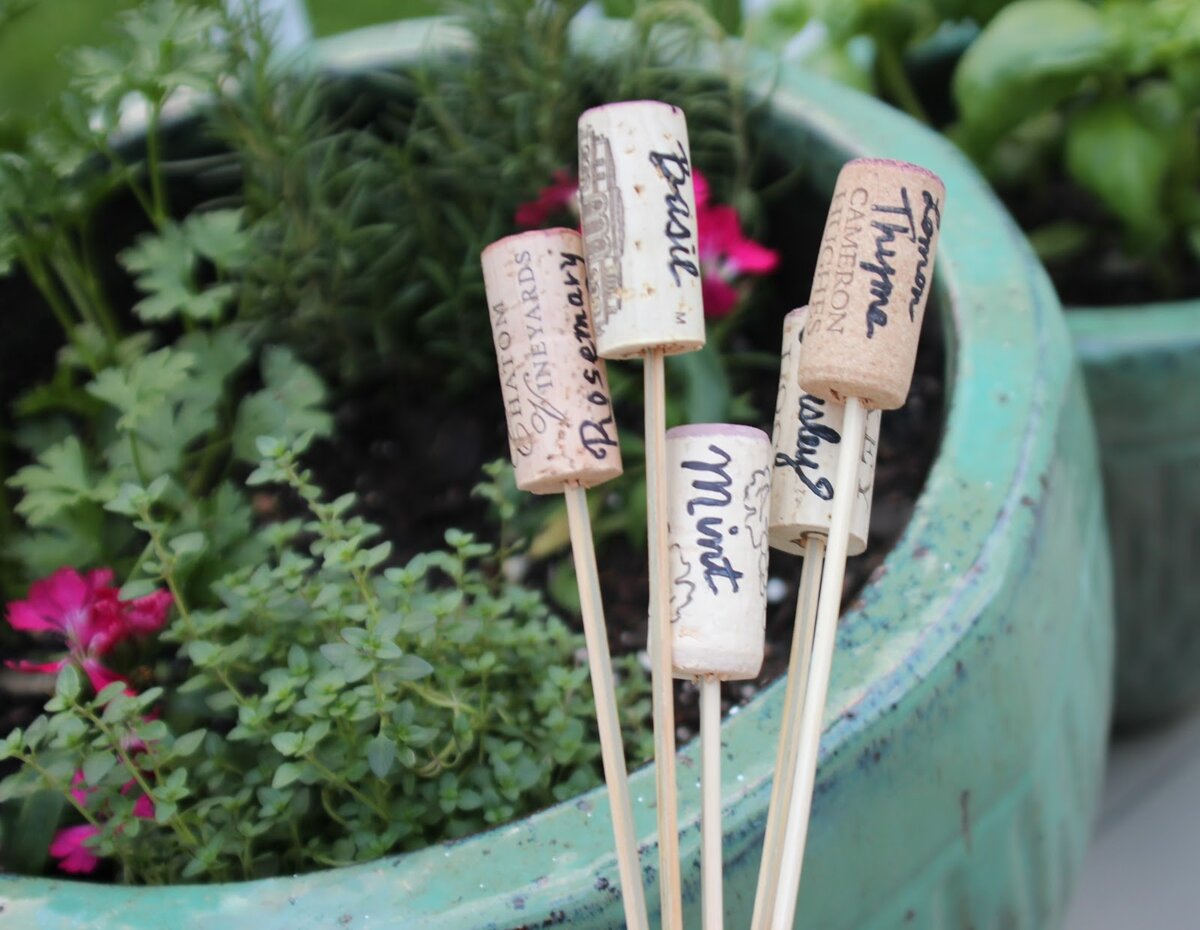 Изображение взято с открытого источника 