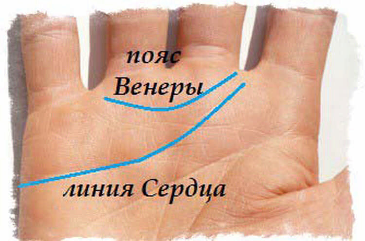 Life Palmistry