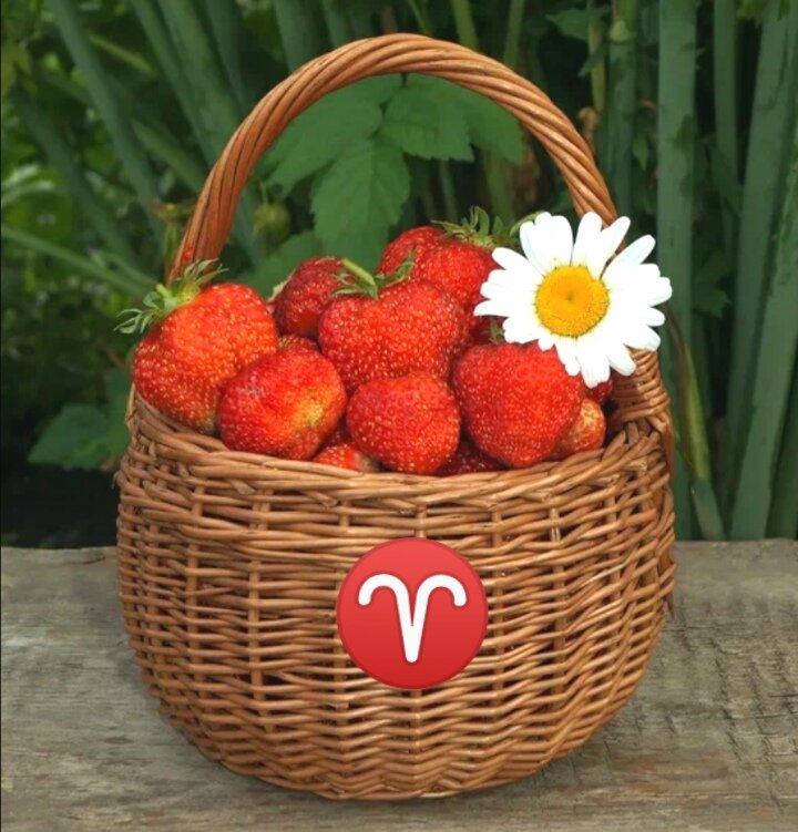 Перспективы лета... 