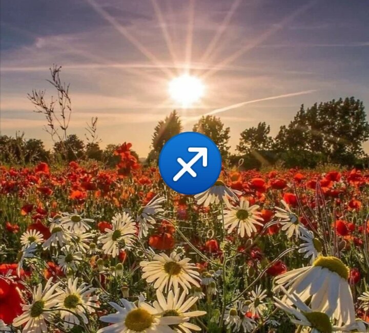 Гармония июля... 
