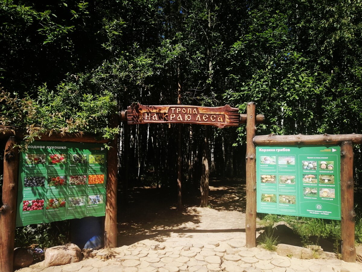 Тропа "На краю леса" находится в пгт Янино-1, Влеволожский р-н, Санкт-Петербург. 