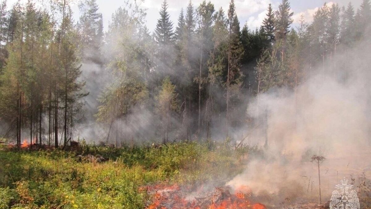     В Удмуртии сохраняется режим чрезвычайной пожароопасности лесов 5 класса, сообщает пресс-служба ГУ МЧС по республике.
