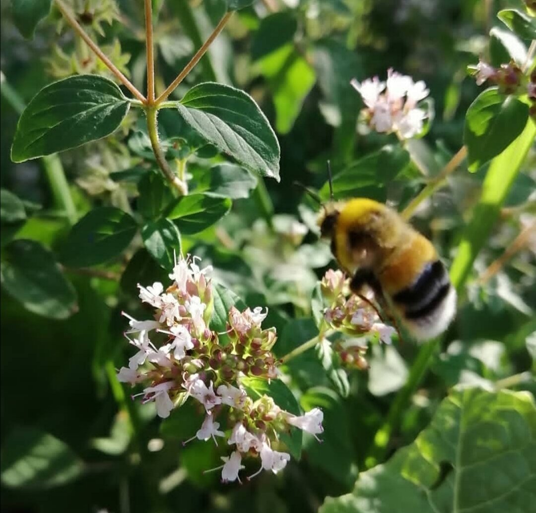 фото из личного архива 
