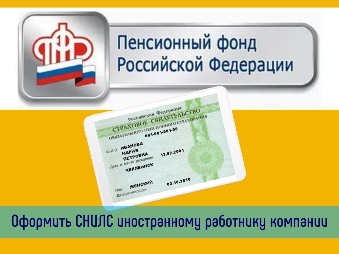 Как выглядит снилс иностранного гражданина в россии