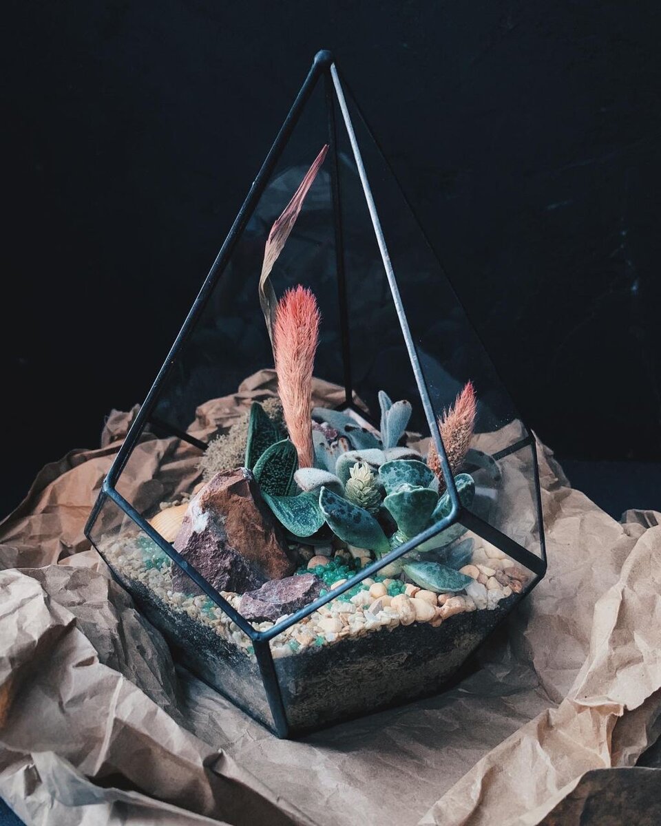 Работа Дмитрия