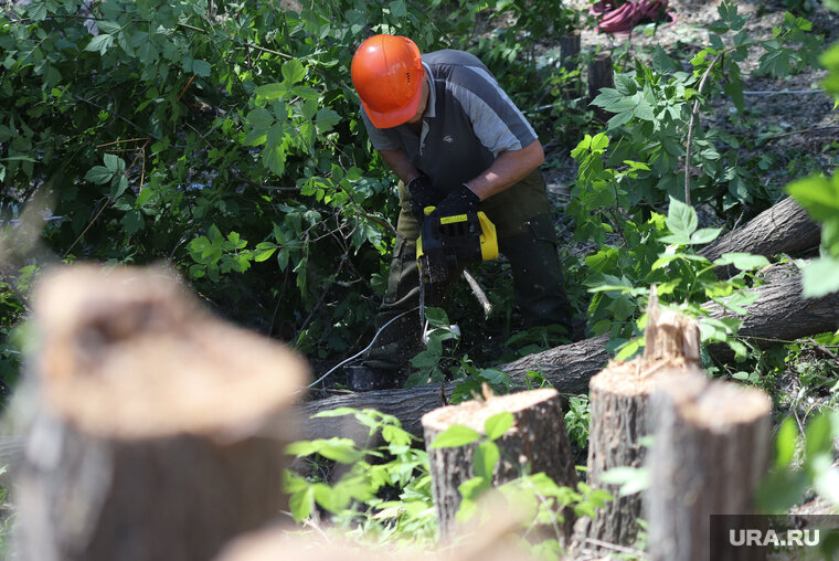    Леса в окрестностях мало, и потому жители не хотят, чтобы участок отдали под пашню