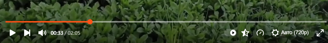 Скрин автора