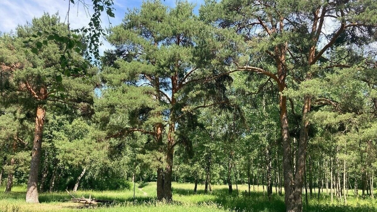     Власти ответили нижегородцам, выступающим против застройки на улице Зайцева. Оказалось, что новое здание хотят построить ради расселения аварийного фонда. Об этом представители мэрии сообщили в социальных сетях.