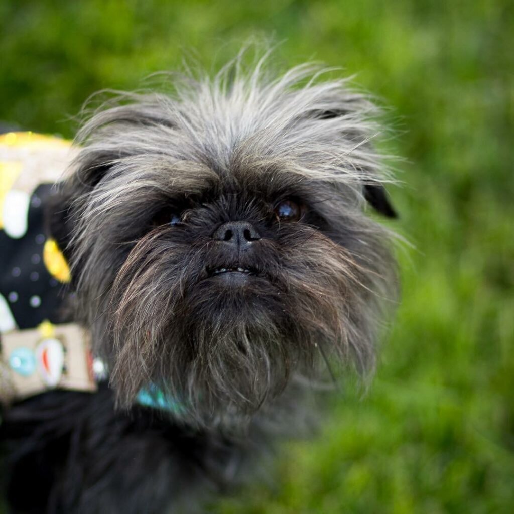 картинка из свободного доступа