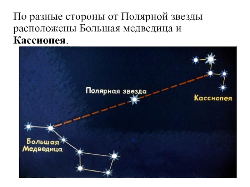 Простая наука о жизни. о большой медведице, книге перемен и современной эволюции человека