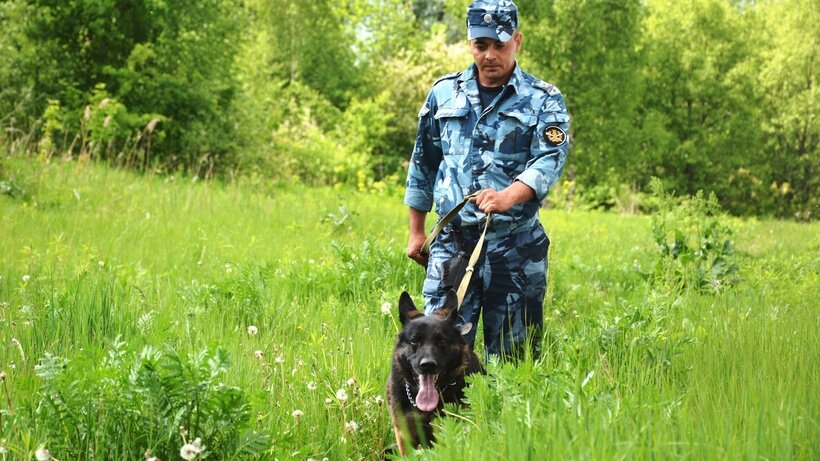    Кинологическая служба уголовно-исполнительной системы России © Пресс-служба УФСИН России по Московской области