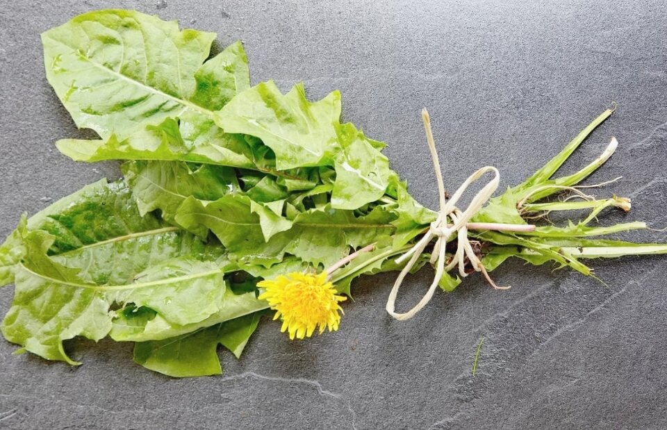 В 90х мама часто готовили салат из одуванчиков. В детстве я не понимала, насколько он полезен 