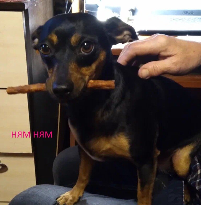 ням-ням фото автора